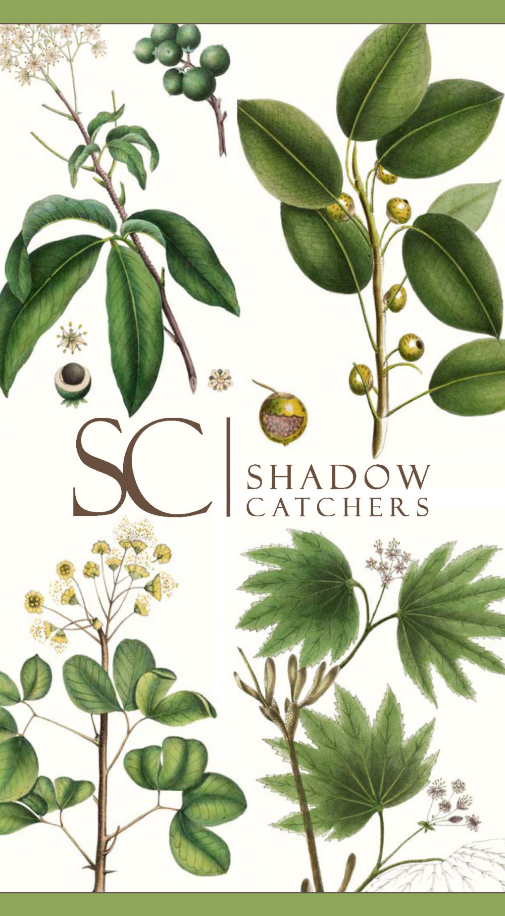 ShadowCatchers_vert_Page_1