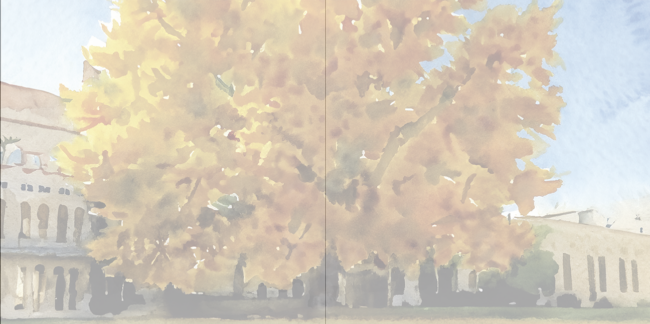 Screenshot 2025-02-20 at 2.40.14 PM